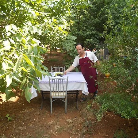 Baris Erdemli